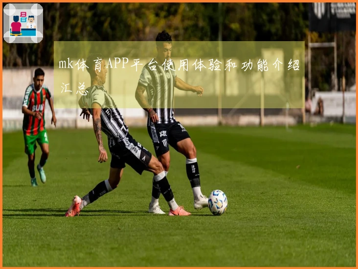 mk体育APP平台使用体验和功能介绍汇总