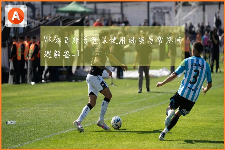 MK体育账号登录使用说明与常见问题解答_1
